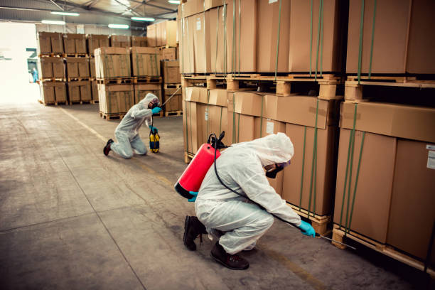 Best Pest Removal Services  in Highgrove, CA