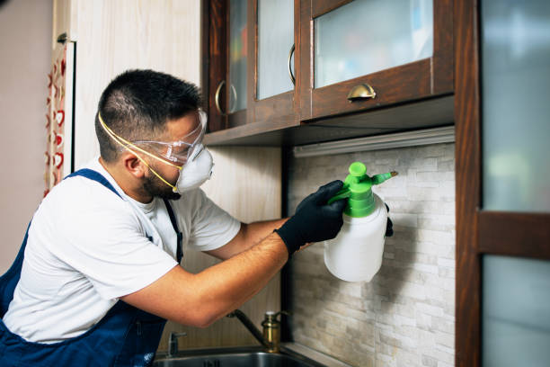 Best Affordable Pest Control Services  in Highgrove, CA
