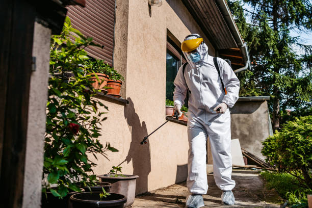 Best Exterminator Services  in Highgrove, CA