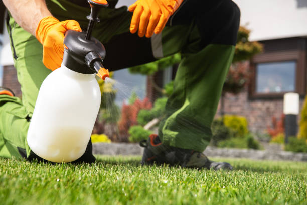 Best Pest Inspection Near Me  in Highgrove, CA