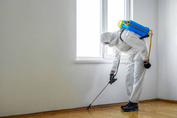 Best Pest Prevention Services  in Highgrove, CA
