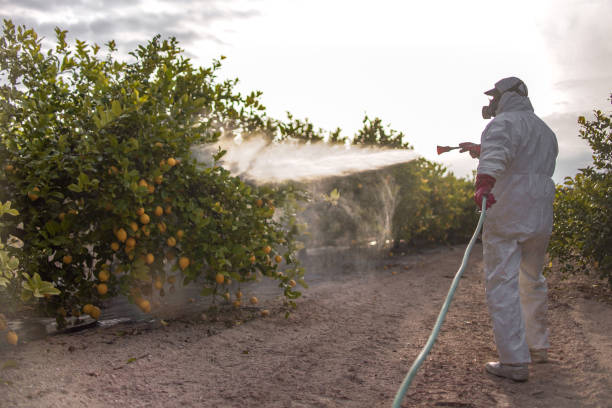 Best Affordable Pest Control Services  in Highgrove, CA