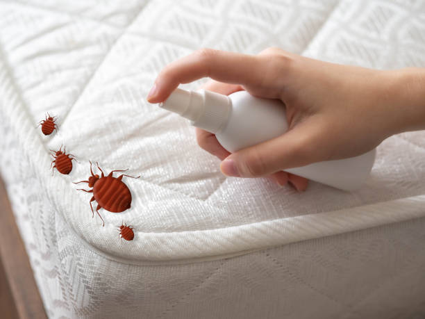 Best Pest Control Near Me  in Highgrove, CA
