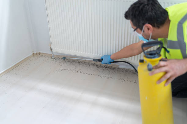 Best Mosquito Control Services  in Highgrove, CA
