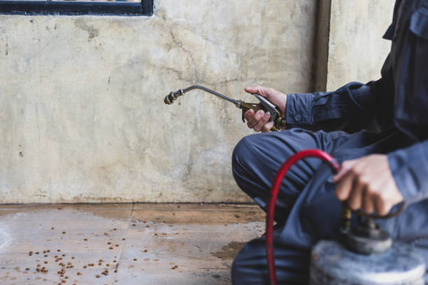 Best Pest Prevention Services  in Highgrove, CA